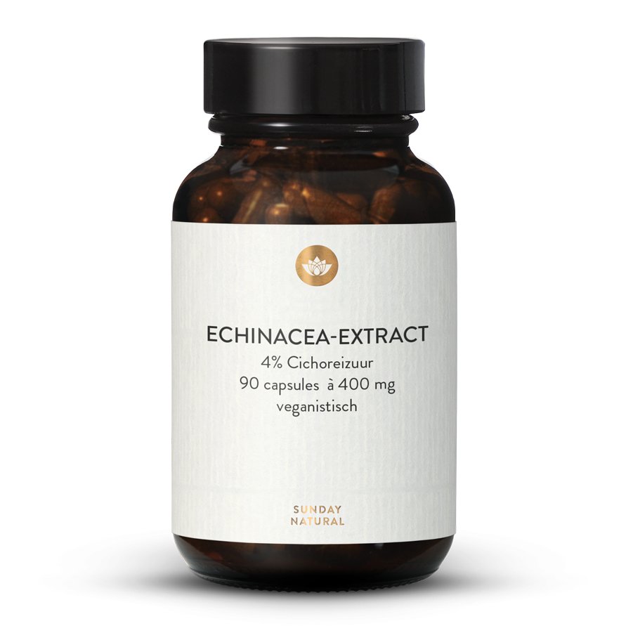 Echinacea