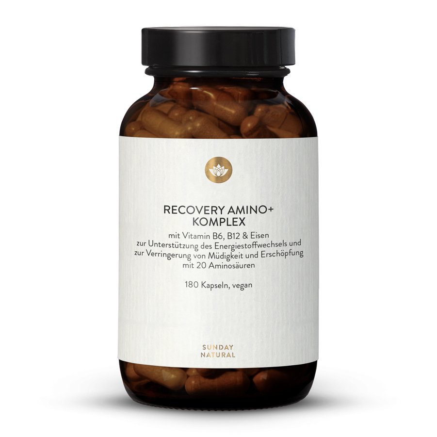 Recovery Amino+ Complex