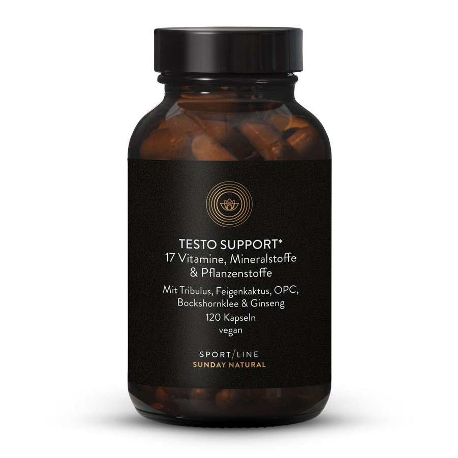 Testo Support Complex
